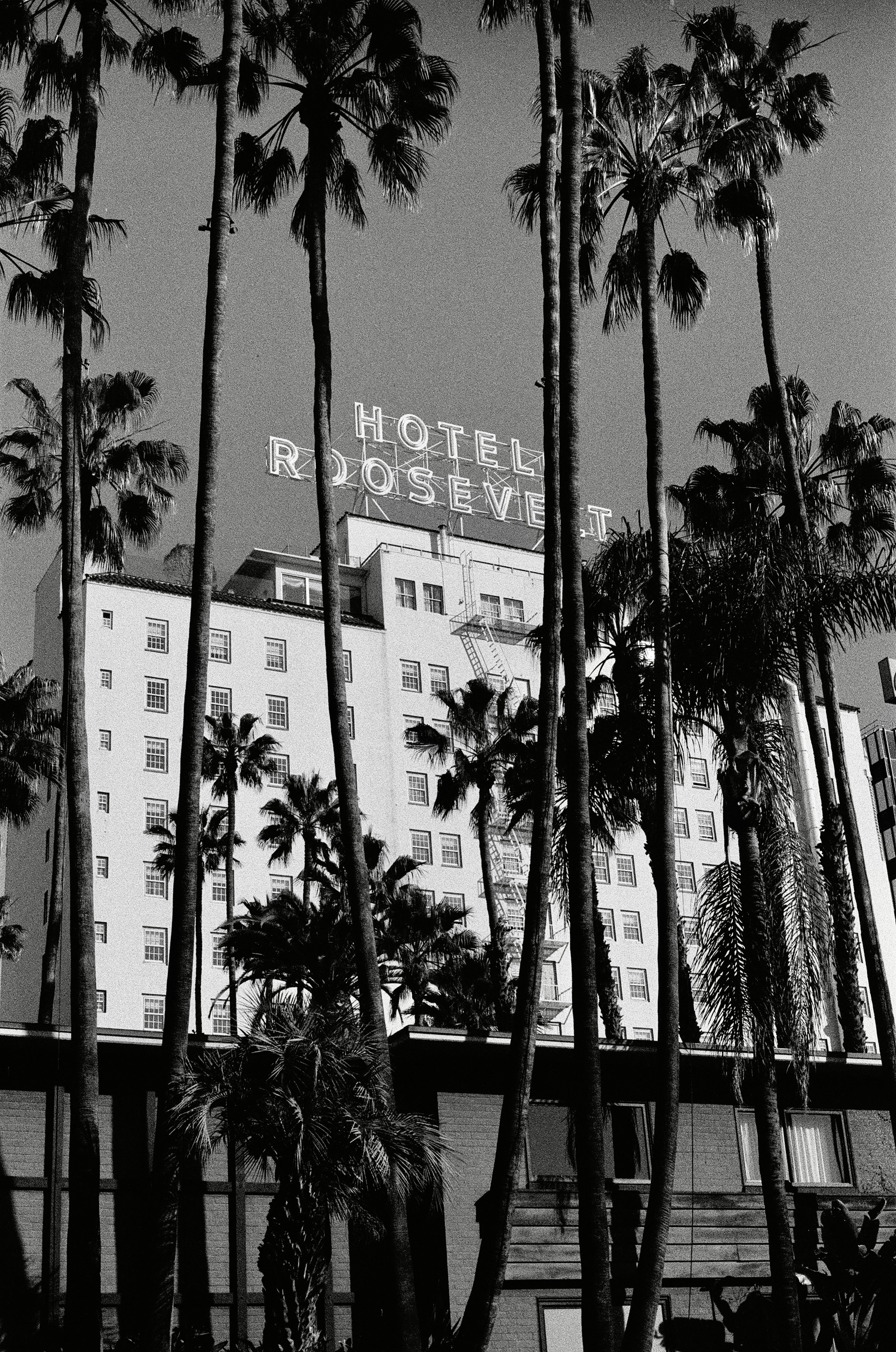 7021 Lanewood Avenue