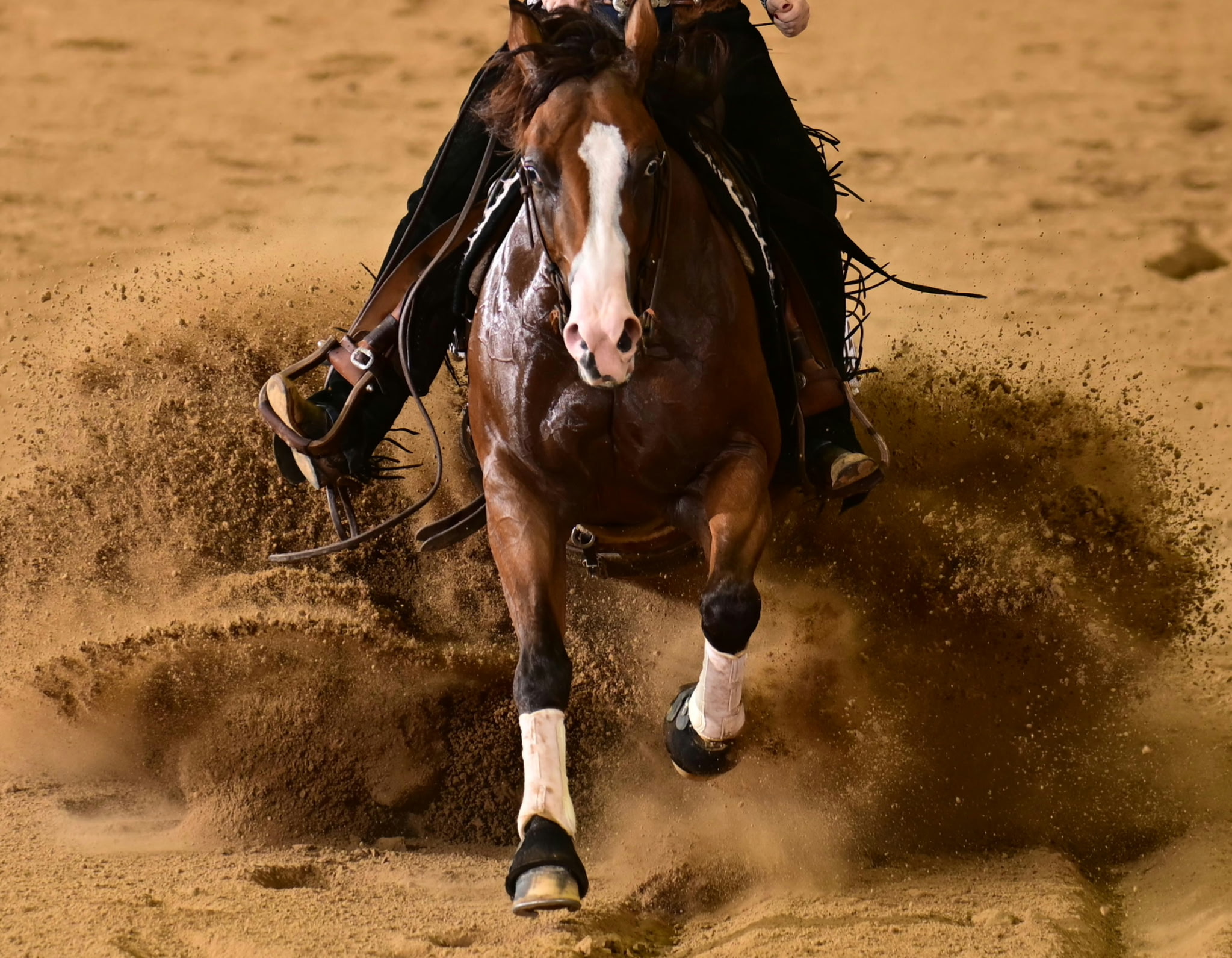 13951 Normandy Boulevard