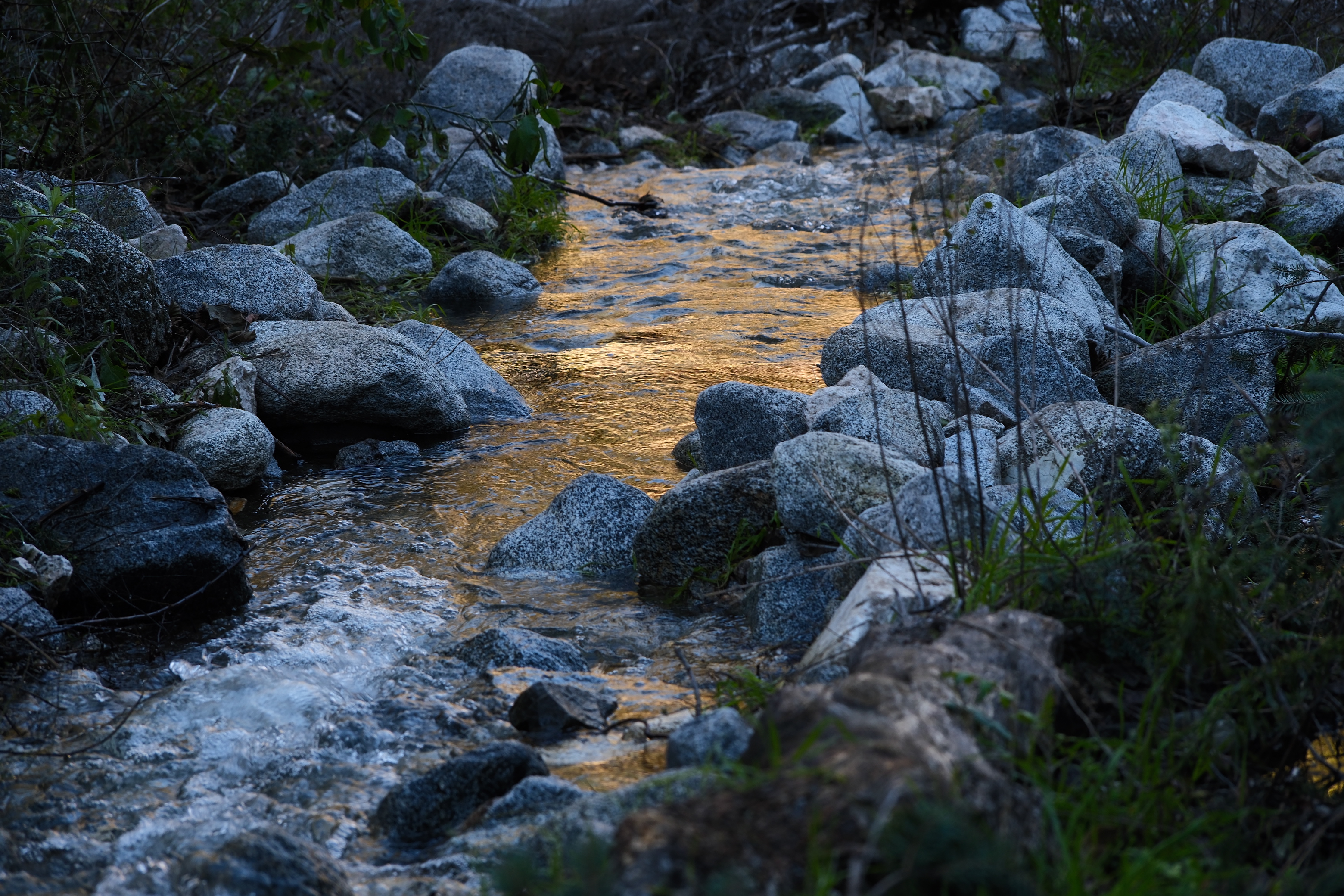 Chantry Flats Truck Trail