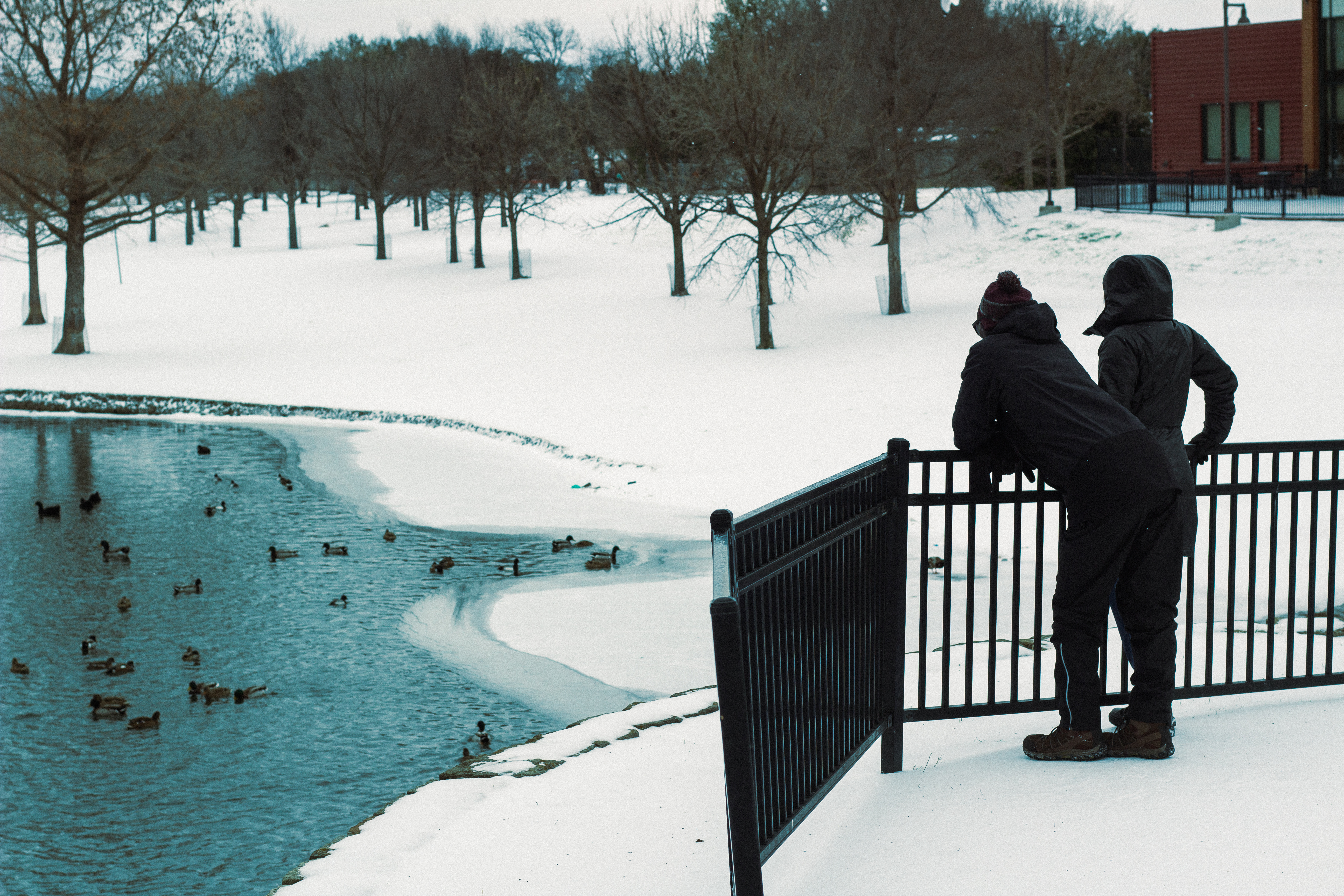 1425 East Belt Line Road