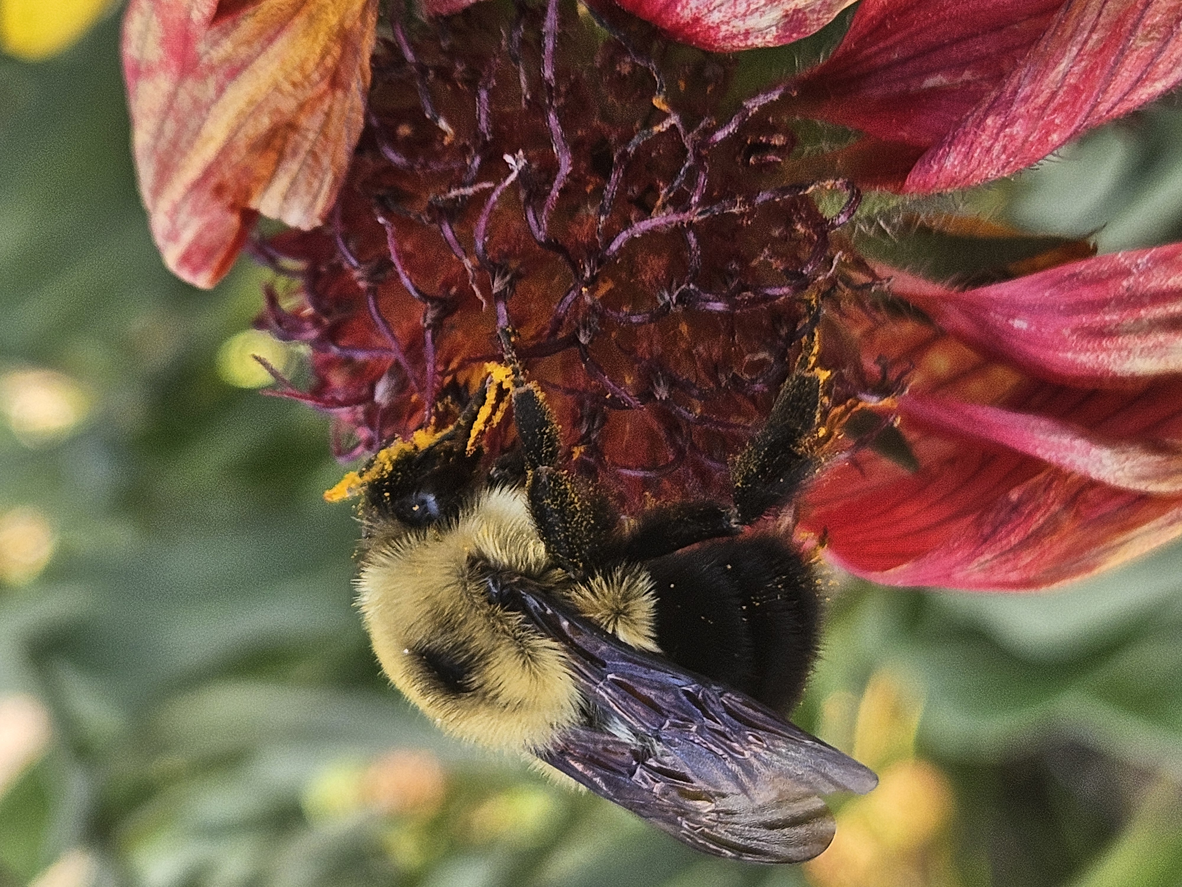 201 East Forsyth Street