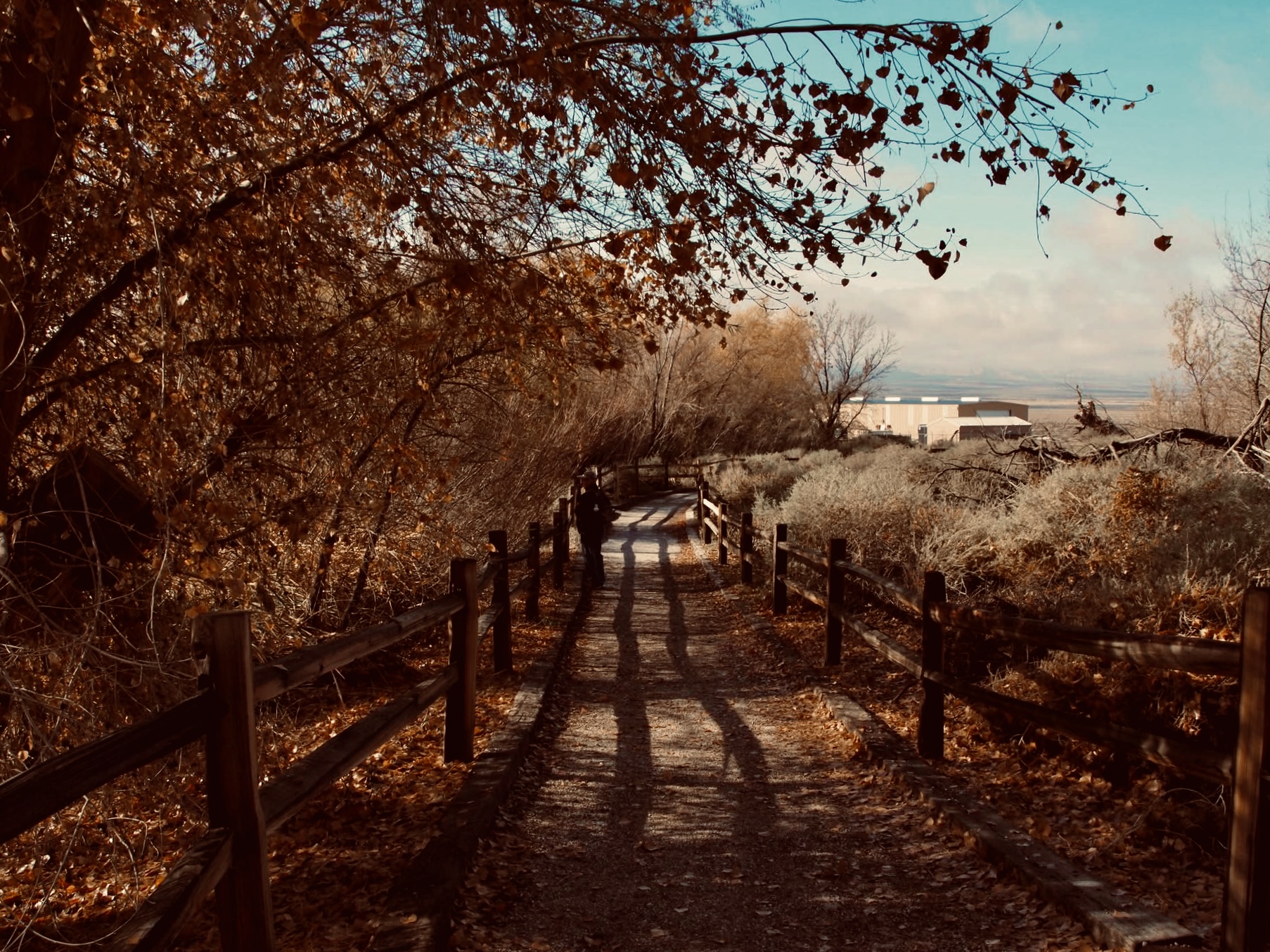 6667 Velletri Avenue