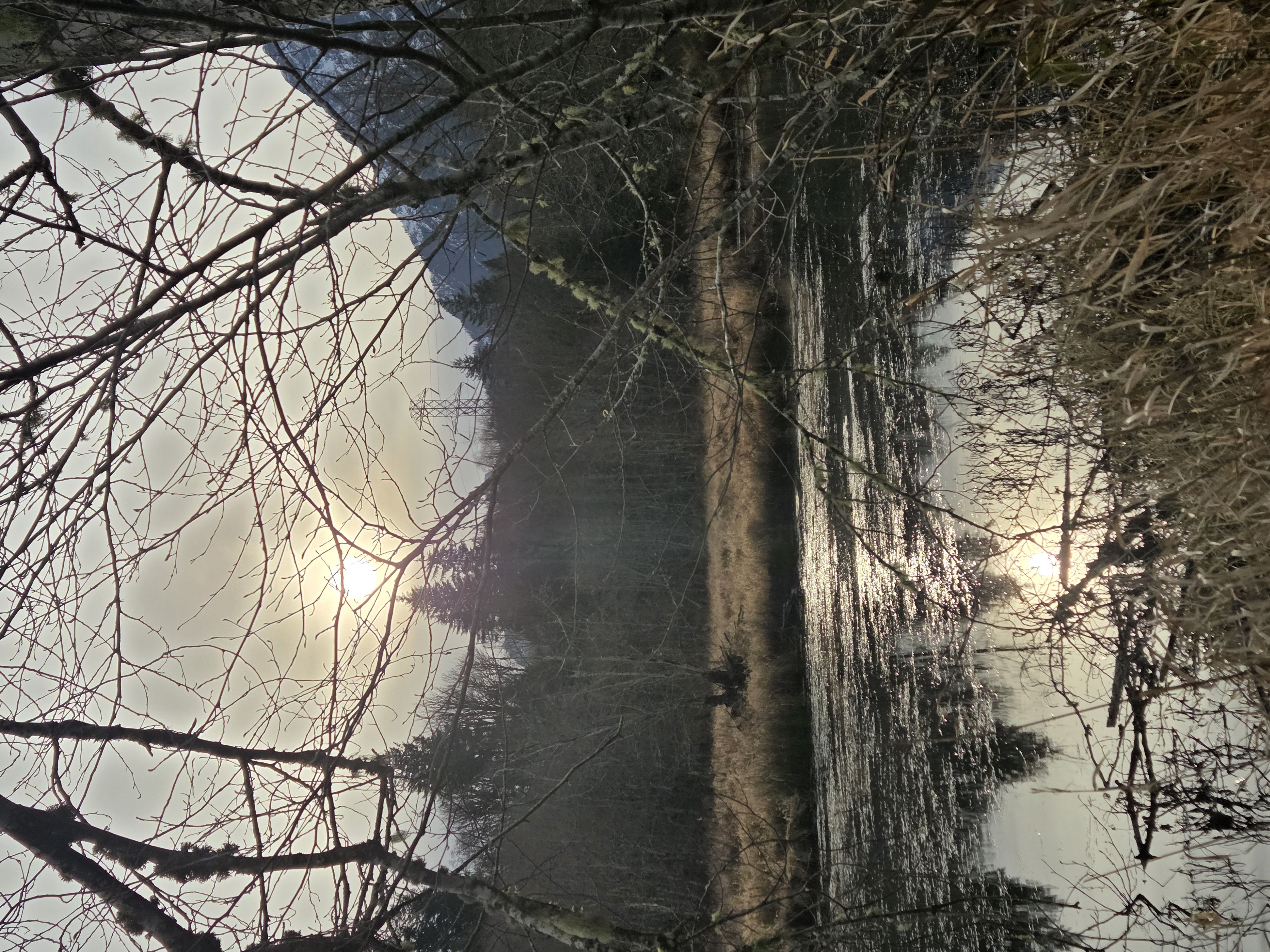 37204 Oso Slide Memorial Highway