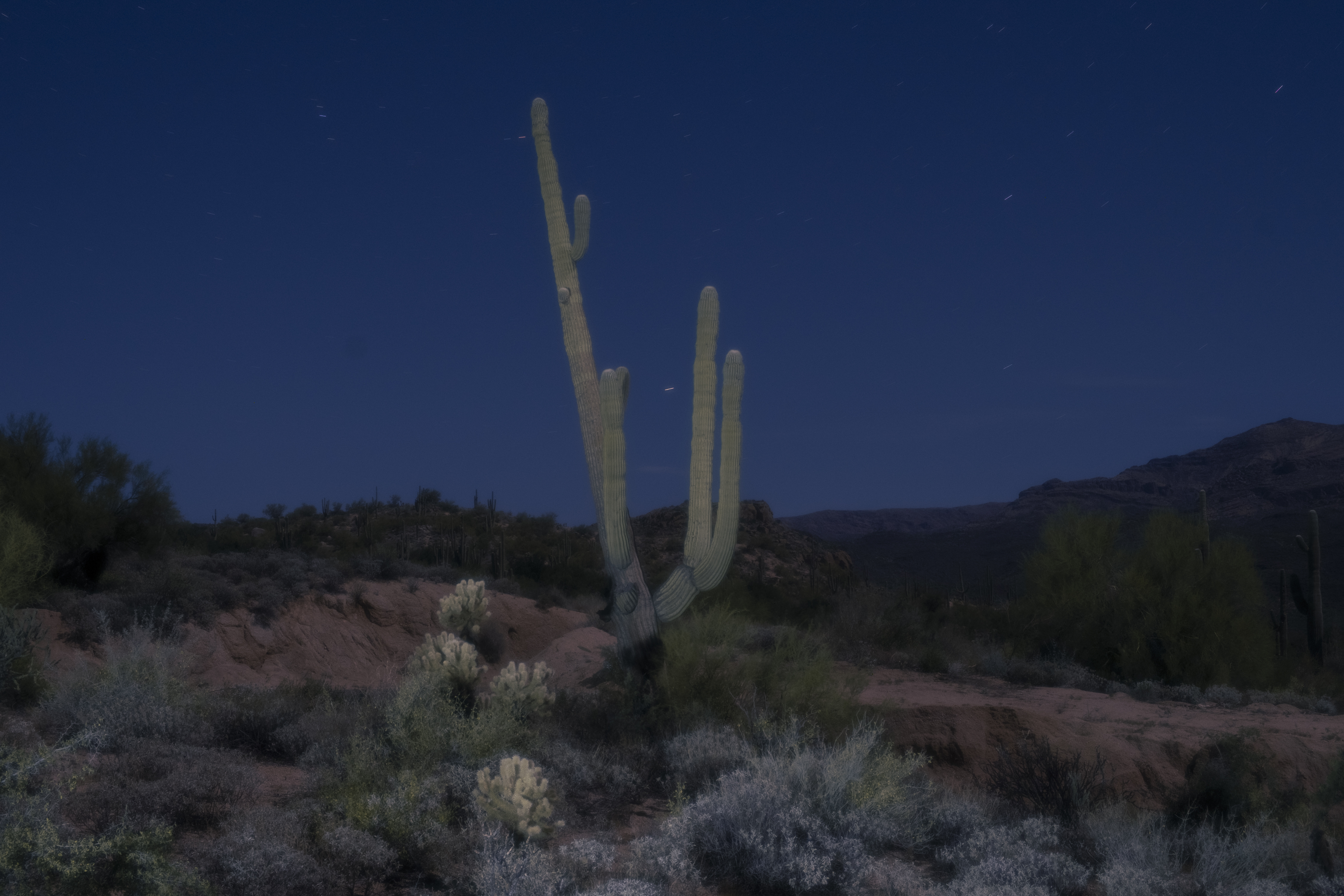 44901 North Cottonwood Canyon Road