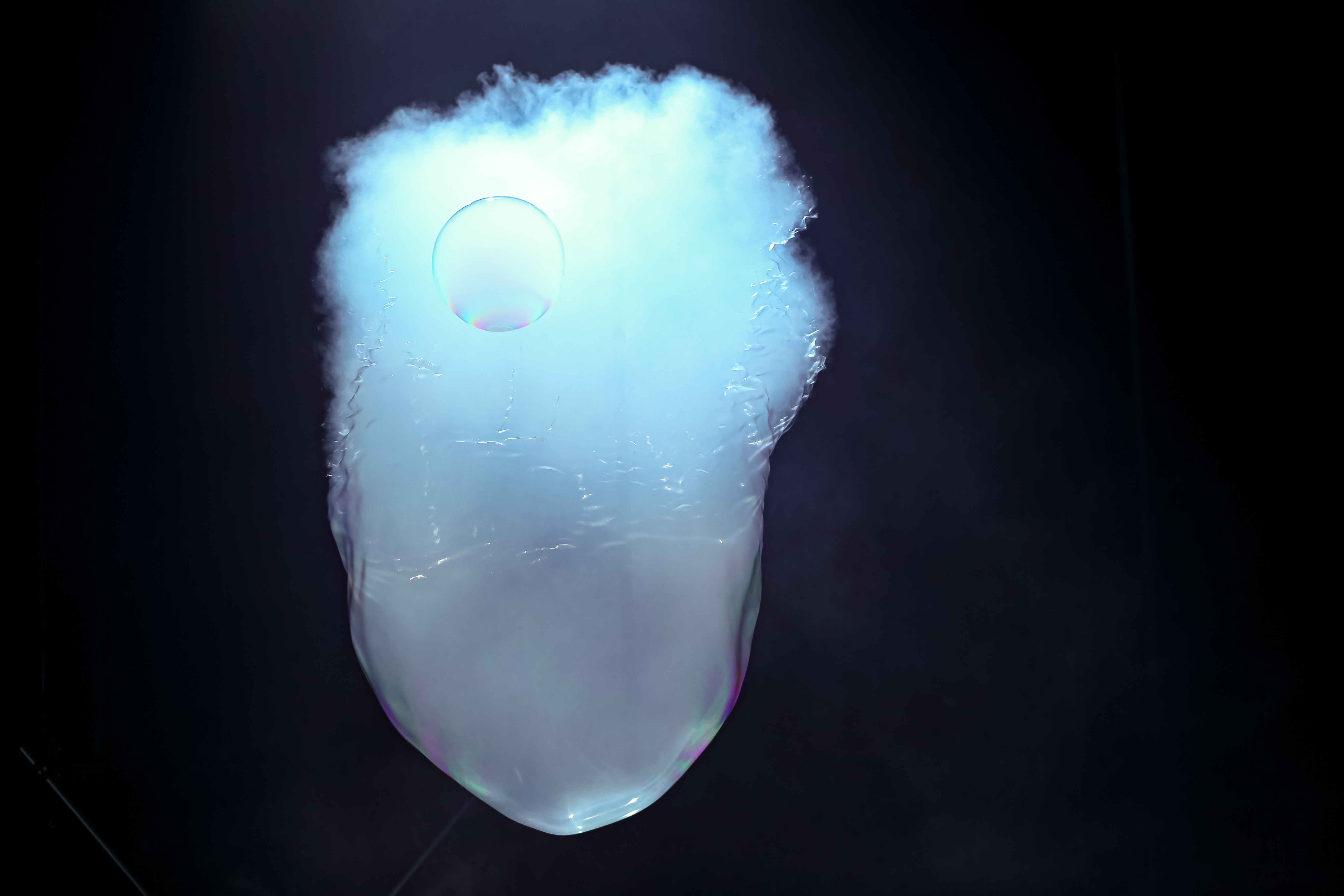 1001 Bissonnet Street