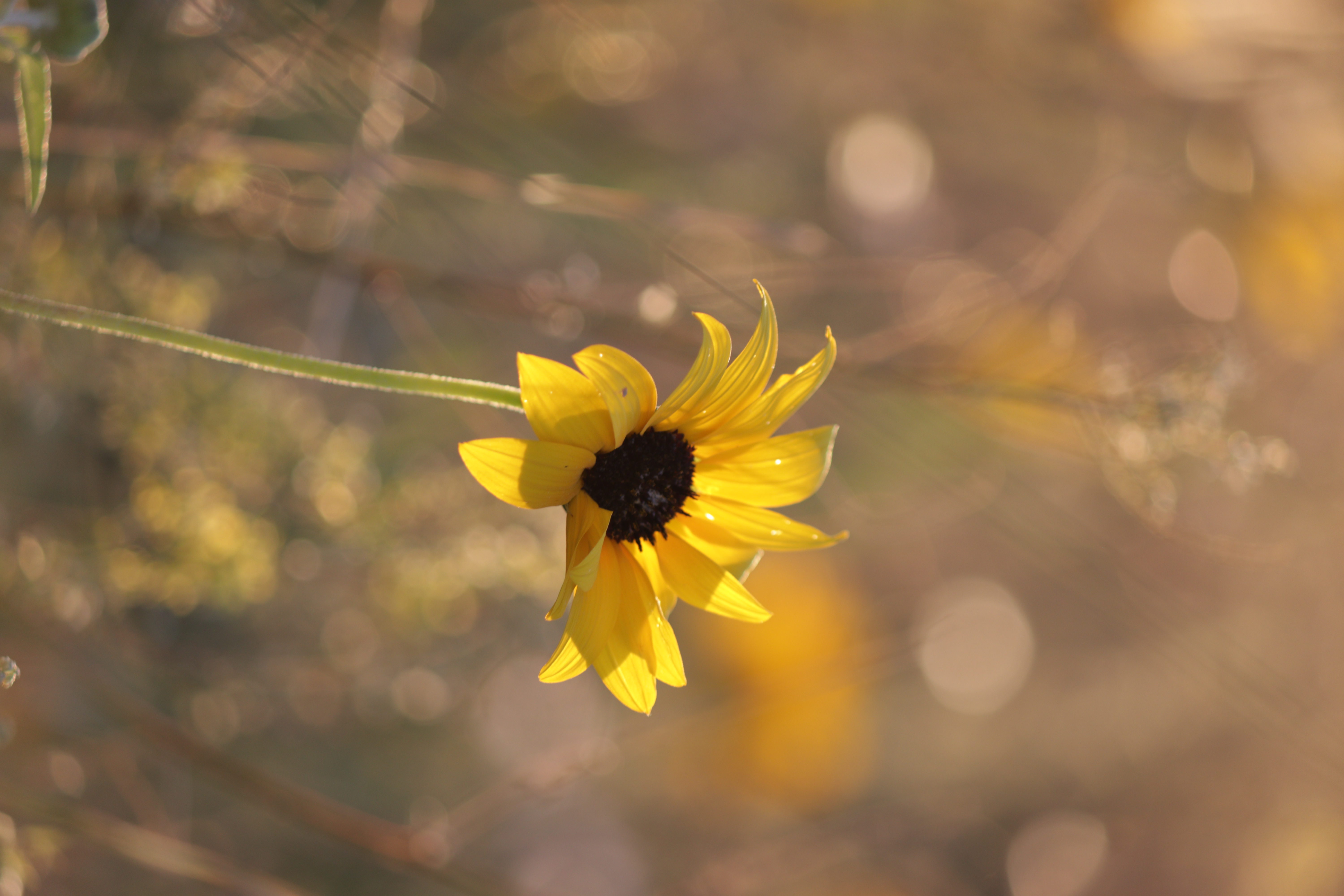 16052 East 47th Place