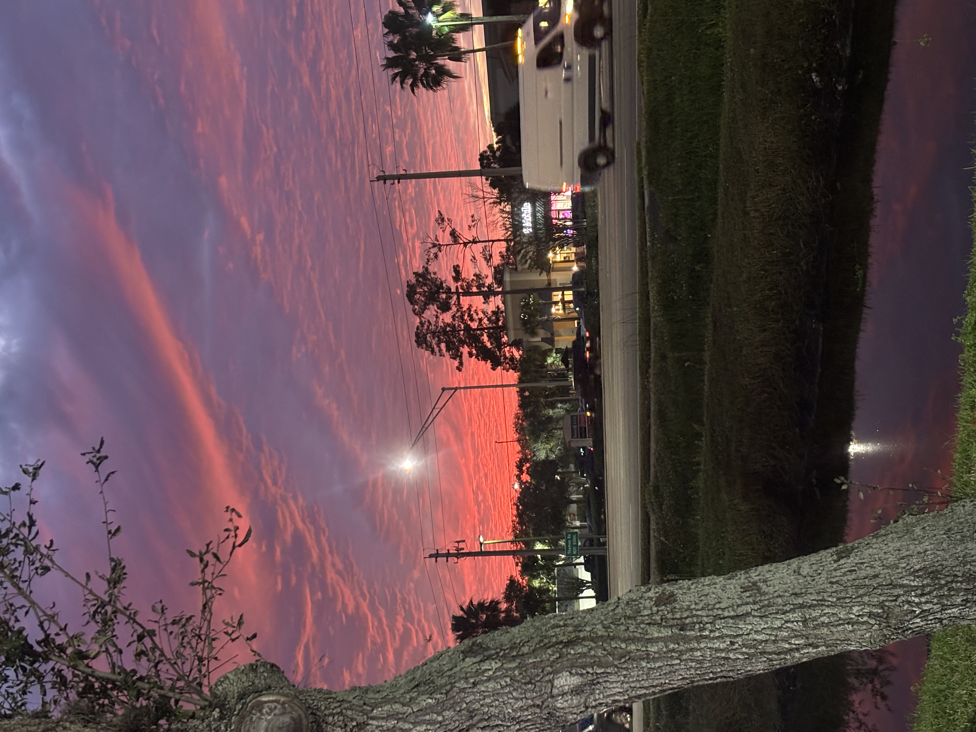 2447 West International Speedway Boulevard