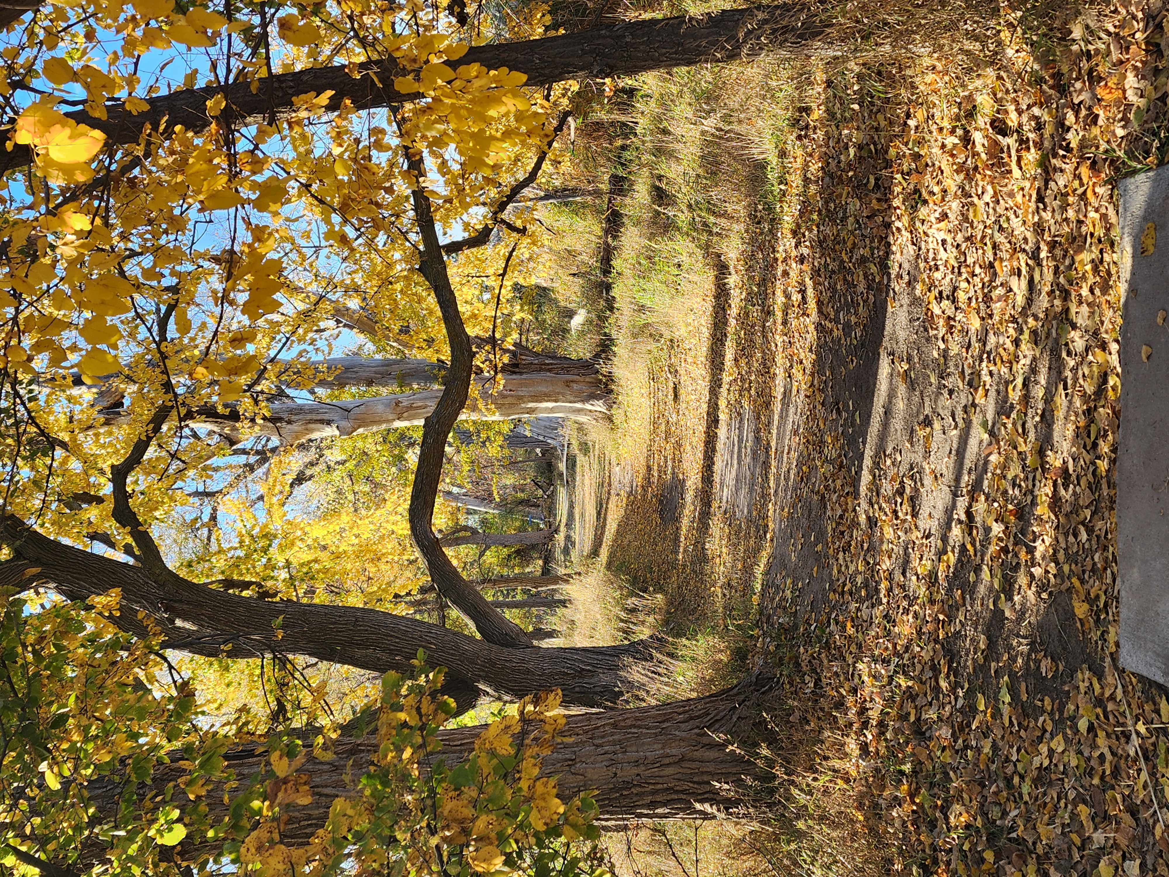 801 East 15th Street