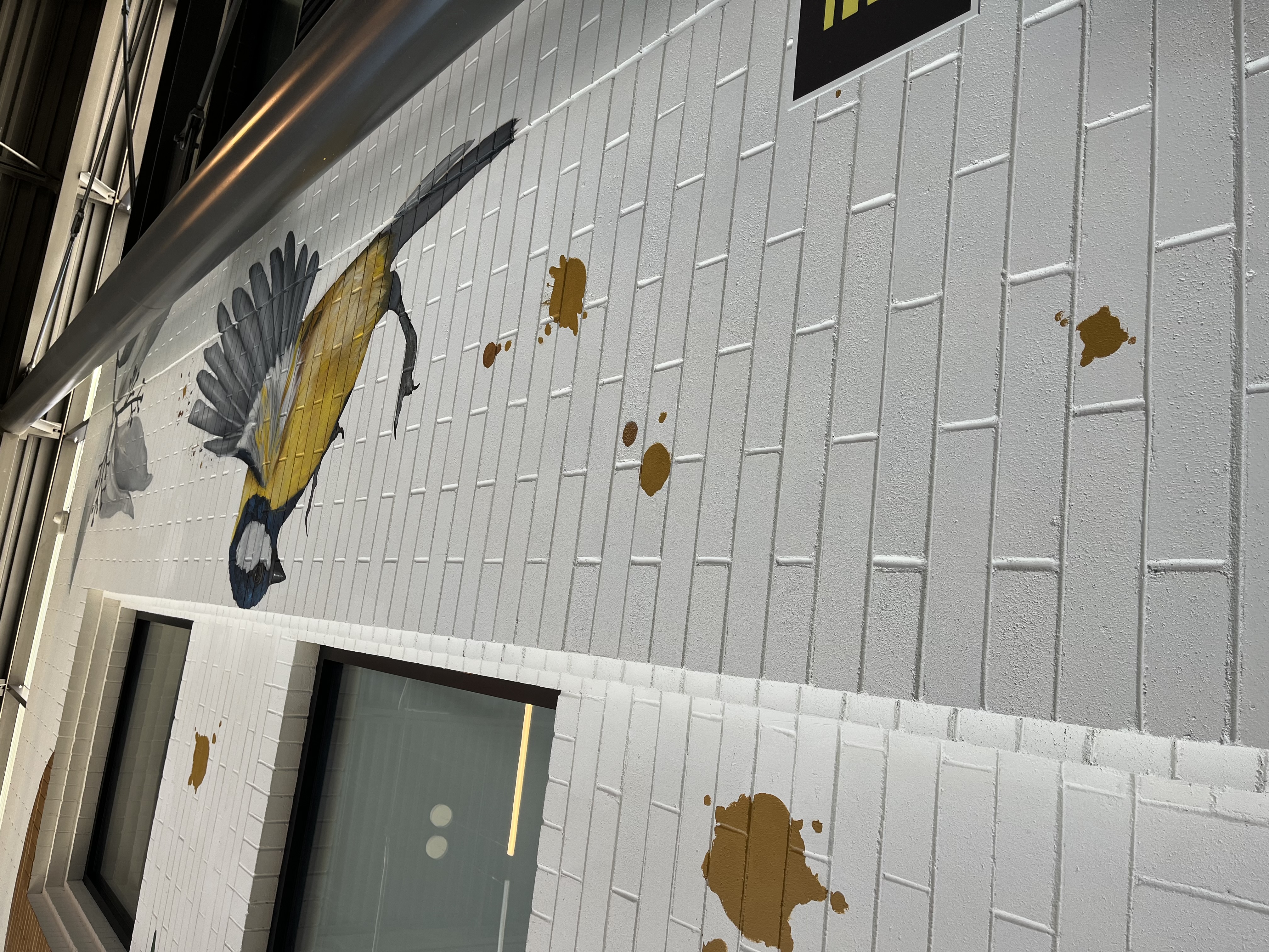 5335 North 7th Street