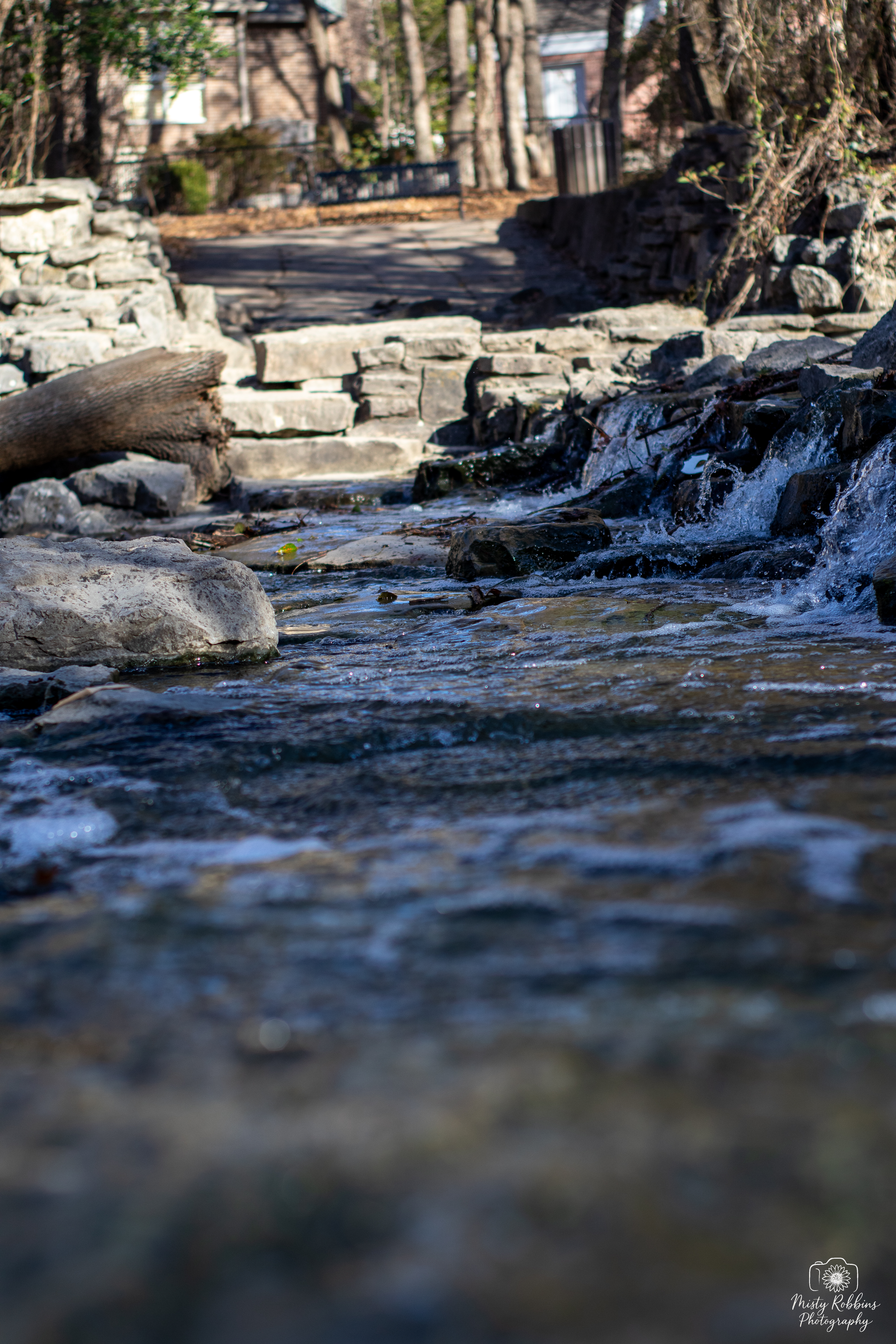 2204 Prairie Creek Drive East