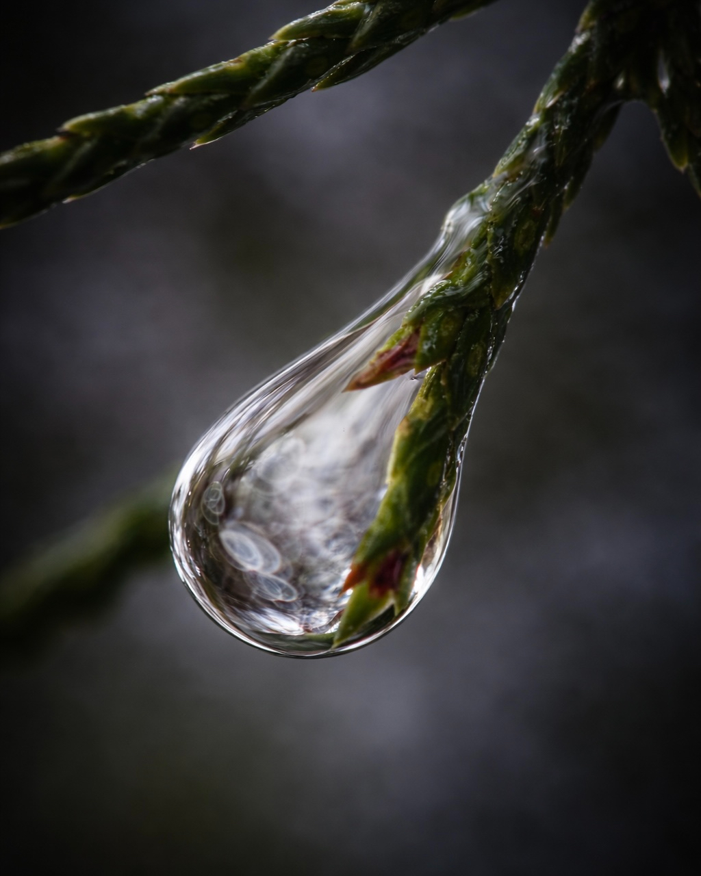 260 South Algonquin Avenue