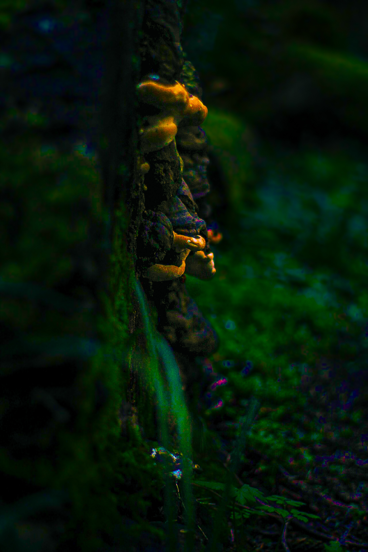 2221 Golf Club Road Southeast