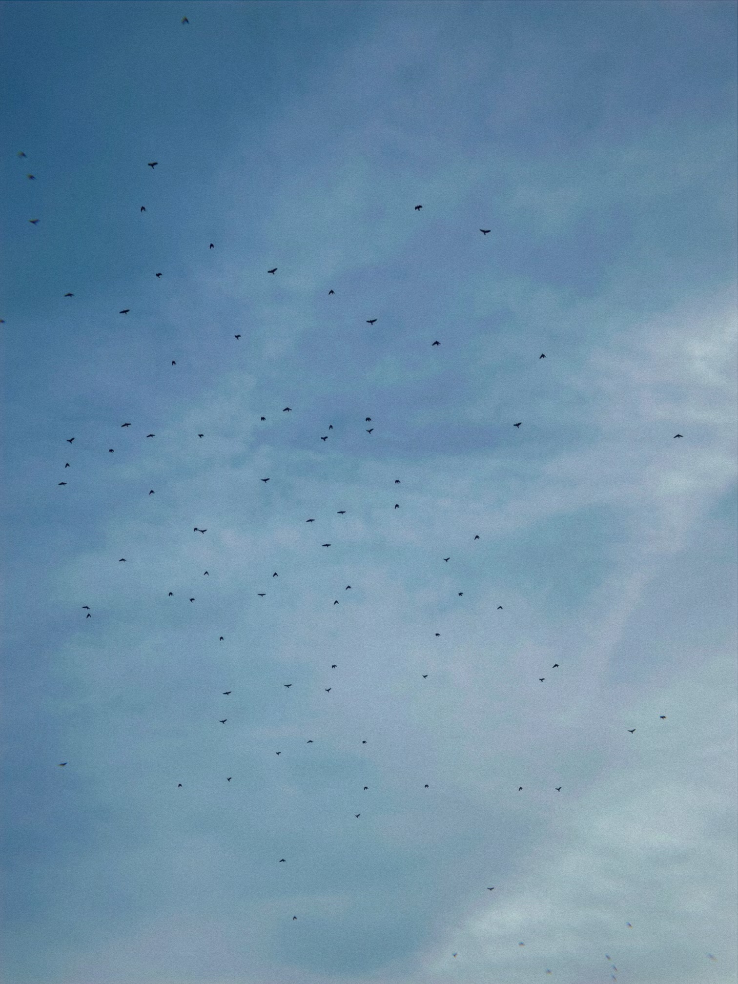 1901 65th Avenue West