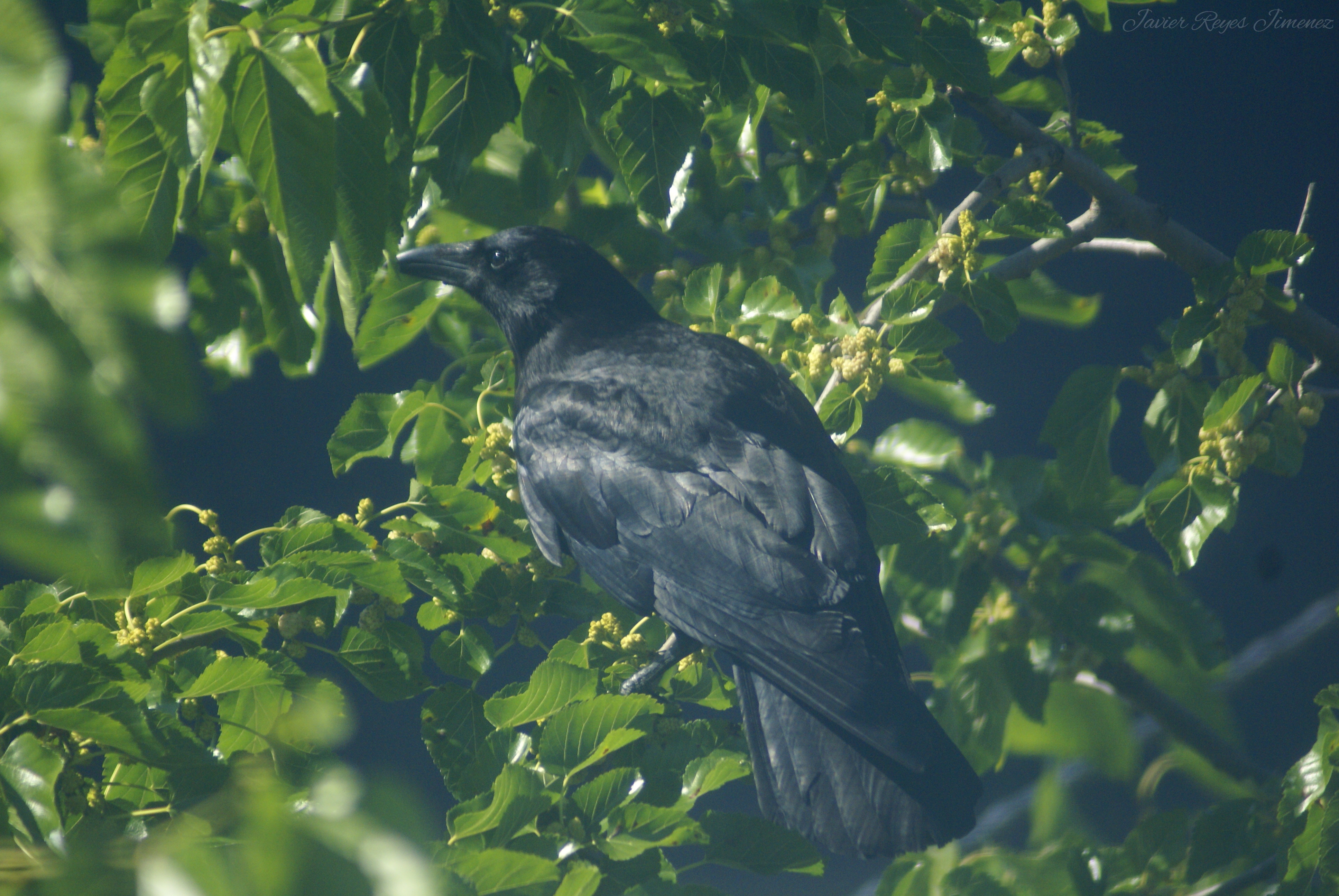 201-203 East Main Street