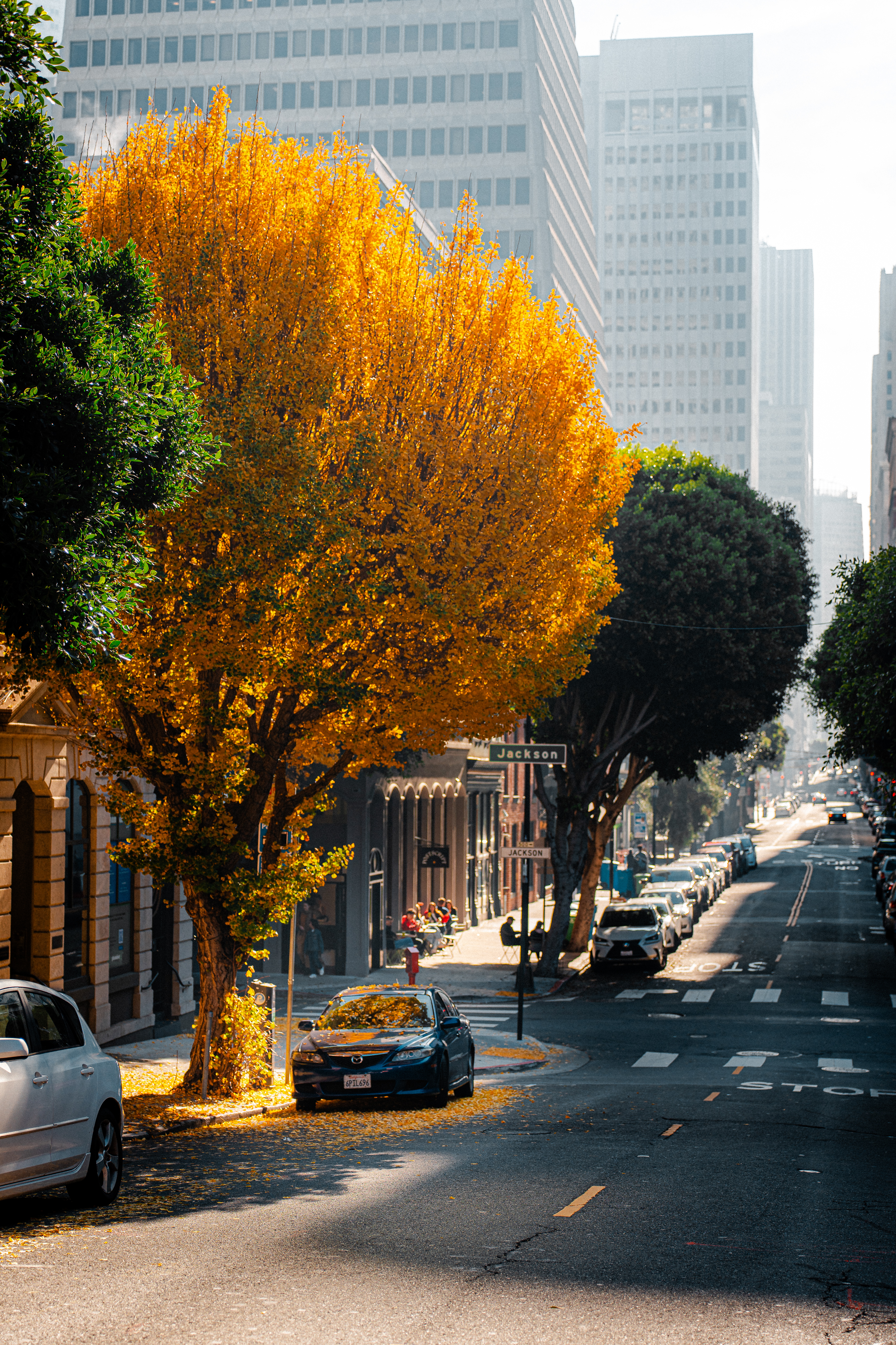 Jackson Square Historic District